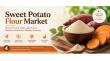 Sweet Potato Flour Market to Reach US$1,318.5 Mn by 2033 Driven by Gluten-Free Demand
