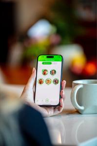 App-Bildschirm mit einer Darstellung eines Familienstammbaums