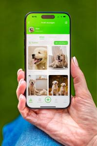 App-Bildschirm mit in Alben organisierten Haustierfotos