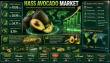 Hass Avocado Market Driven by Healthy Fat Consumption, Expanding at 5.18% CAGR Through 2035