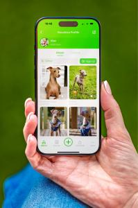 Schermata dell’app che mostra foto di animali organizzate in album