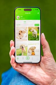 ऐप स्क्रीन जिसमें एल्बमों में व्यवस्थित पालतू जानवरों की फ़ोटो दिखाई गई हैं