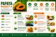 Papaya Market Estimated to Reach USD 26.93 Billion by 2035 Due to Rising Demand for Fresh and Processed Products