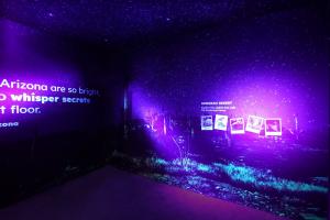 Desert Stargazing Room