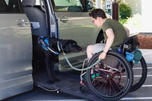 A service dog helps to tug a woman in a wheelchair up a ramp into her van using a specialized strap.