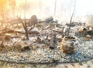 After surviving the devastating Palisades wildfire, losing her home and personal and work possessions, battling insurance claim denials and contemplating litigation, nurse Pamela Jane Nye made a decision few people expected