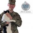 National Call for Foster Families to Support Veterans, Service Members, and Their Pets