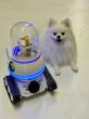 WIM-Z Opens Reservations for AI Home Robot Built to Monitor, Redirect, and Reward Dogs While Owners Are Away