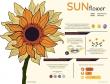 Sunflower Lecithin Market to Reach $754.8 Million by 2032, Driven by Clean-Label and Plant-Based Product Demand