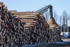 Sawmill operations