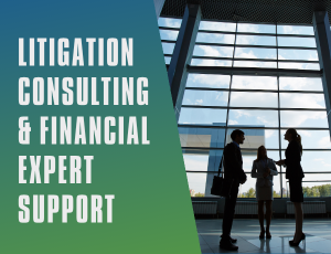 Litigation Consulting & Financial Expert Support