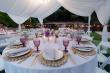 Wedding Revolution Expands Into Coastal Orange County With Event Rentals and Wedding Coordination Services