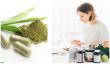YTBIO Secures Position as a Global Leading Comprehensive Health Food Manufacturer