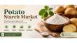 Potato Starch Market to Reach US$6.9 Billion by 2033 Driven by Clean Labels