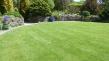 TopGrass Joins Forces with Trinity Lawns to Bring Expert Lawn Care Services to Homes In Hertfordshire and Cambridgeshire