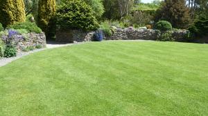 TopGrass Basic Package Lawn Care