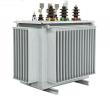Top 10 Oil Immersed Transformer Supplier In China: CHSH Excellence at Expo Energía