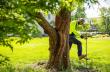 Urban Timber Tree Highlights Plant Health Care Services With Free Product Promotion
