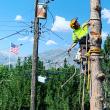 One of America's Deadliest Jobs Has No License in Utah — A Tree-Care Owner Is Working to Change That