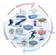 Turning natural hydrogels into smart sensors