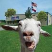 Why Bovine Serum Albumin Remains a Gold Standard in Life Science Research