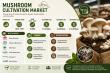 Mushroom Cultivation Market to Reach USD 15.89 Billion by 2035 Driven by Organic and Sustainable Food Demand