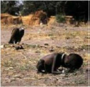 A vulture is seen in the background of this world famous picture waiting for this child to die because he couldn't make it to a feeding station in a famine in Sudan in 1993.