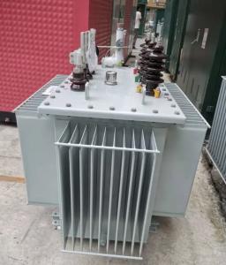 1OEM Oil Immersed Transformer Direct Factory