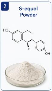 99% Purity HPLC-tested S-equol Powder Supplier