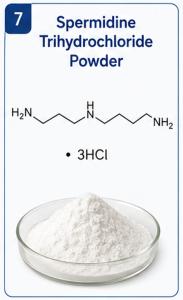 Pharma Intermediates Spermidine Trihydrochloride Powder Manufacturer1