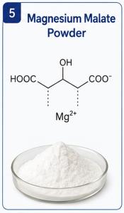OEM Available Magnesium Malate Powder Factory
