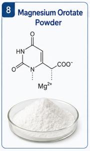 OEM Available Magnesium Orotate Powder Factory