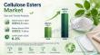Cellulose Esters Market Forecasted to Surge US$22.1 Bn by 2033, at a CAGR of 6.2% Driven by Sustainable Material Demand