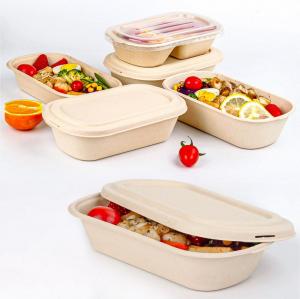 Disposable Food Containers Manufacturer123