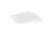 XIADE Launches High-Quality Biodegradable Cling Film, Scaling Sustainable Packaging Solutions