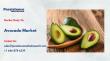 Avocado Market to Reach US$32.0 Bn by 2033 Driven by Rising Healthy Food Demand
