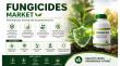 Fungicides Market Predicted to Grow Substantially US$30.2 Billion by 2033, Expanding at a CAGR of 5.4% from 2026-2033