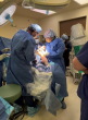 A New Way to Treat Knee Pain — Now Available at Genesis Orthopedics & Sports Medicine