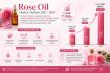 Rose Oil Market Estimated to Reach USD 1.007 Billion by 2035 Due to Rising Demand for Organic Ingredients