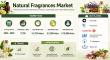Natural Fragrances Market Estimated to Grow at 7.2% CAGR Through 2035 on Increasing Demand for Eco-Friendly Perfumes