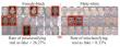 Fairness or folly? Global competition exposes critical blind spots in ai deepfake detection