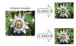 From opaque to accountable: How X-SHIELD Is rewriting the rules of explainable AI