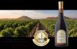Armenia's First Commercial Pinot Noir Wins Gold at Concours Mondial de Bruxelles 2026