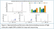 Omega Bio-tek Launches Mag-Bind® HMW DNA Kit for Long-Read Sequencing