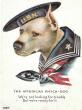 From Battlefields to Backyards: PitbullHero Celebrates 'America's Dog' This July 4th