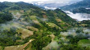 Reisen nach Vietnam und Kambodscha