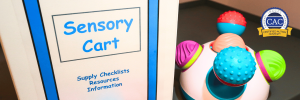 Sensory cart with labels for supply checklists, resources, information, and a colorful textured sensory toy next to it.
