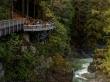 Squamish Canyon Brings the Rainforest to Life with Live Music and Summer Wellness Offerings