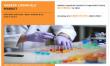 Rubber Chemicals Market Poised for Steady Growth Amid Increasing Demand from Automotive and Construction Industries