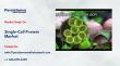 Single-Cell Protein Market to Reach US$ 21.4 Bn by 2033 Driven by Sustainable Nutrition
